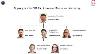 An organogram for the BHF Cardiovascular Biomarker Laboratory. This shows Prof Nicholas Mills as the Academic and Clinical Lead of the Laboratory, managing Programme Lead Paul Fineran, Technical Lead and Facility Manager Takeshi Fujisawa, and Administrative Support Lynn McKinlay. In turn, Takeshi Fujisawa manages Laboratory Technicians Jennifer Blades and Jess Walters.