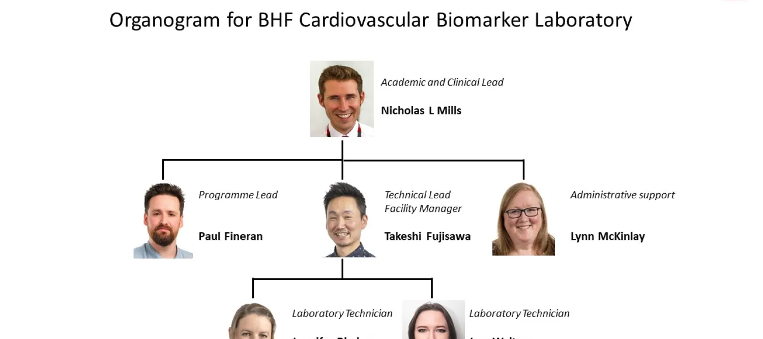 An organogram for the BHF Cardiovascular Biomarker Laboratory. This shows Prof Nicholas Mills as the Academic and Clinical Lead of the Laboratory, managing Programme Lead Paul Fineran, Technical Lead and Facility Manager Takeshi Fujisawa, and Administrative Support Lynn McKinlay. In turn, Takeshi Fujisawa manages Laboratory Technicians Jennifer Blades and Jess Walters.
