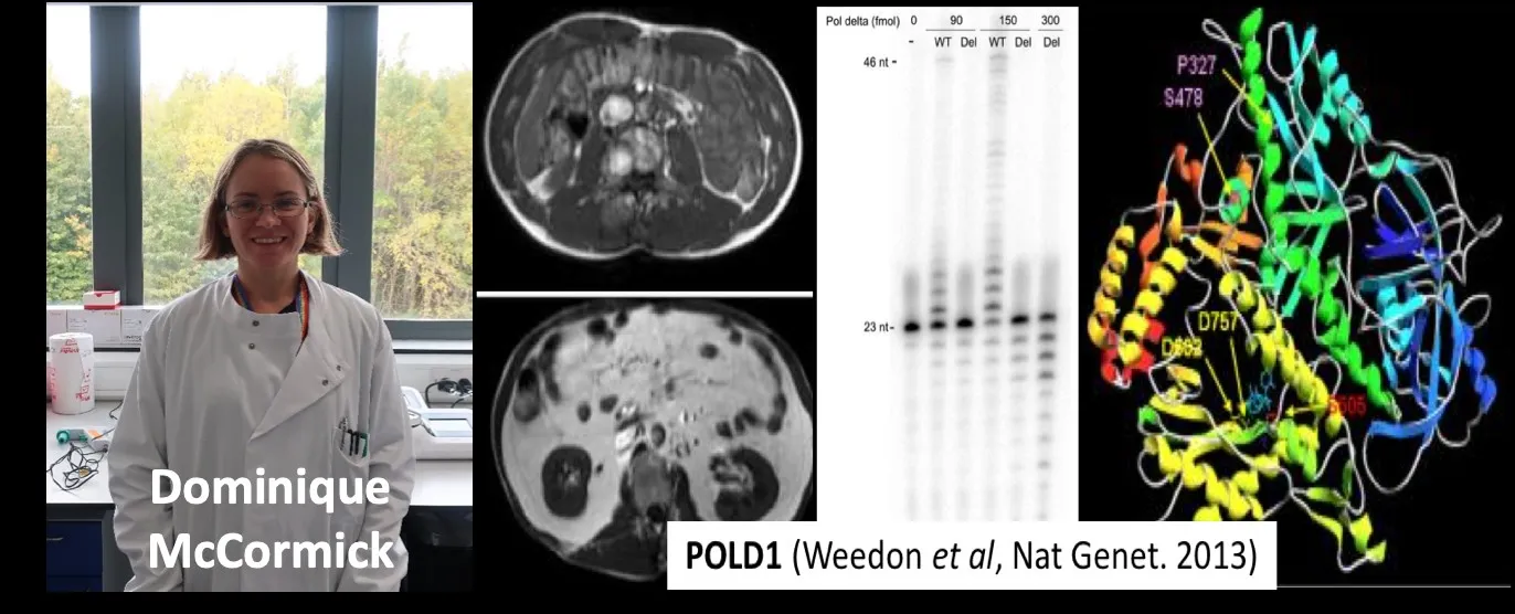 Dominique McCormick and research images