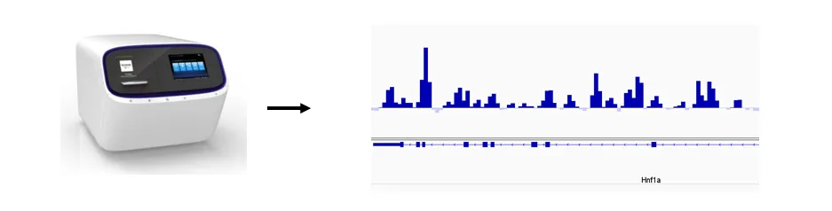 Profiling 5mC and 5hmC using ion torrent sequencing.