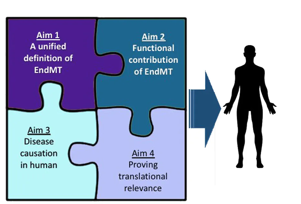 Aims of the consortium