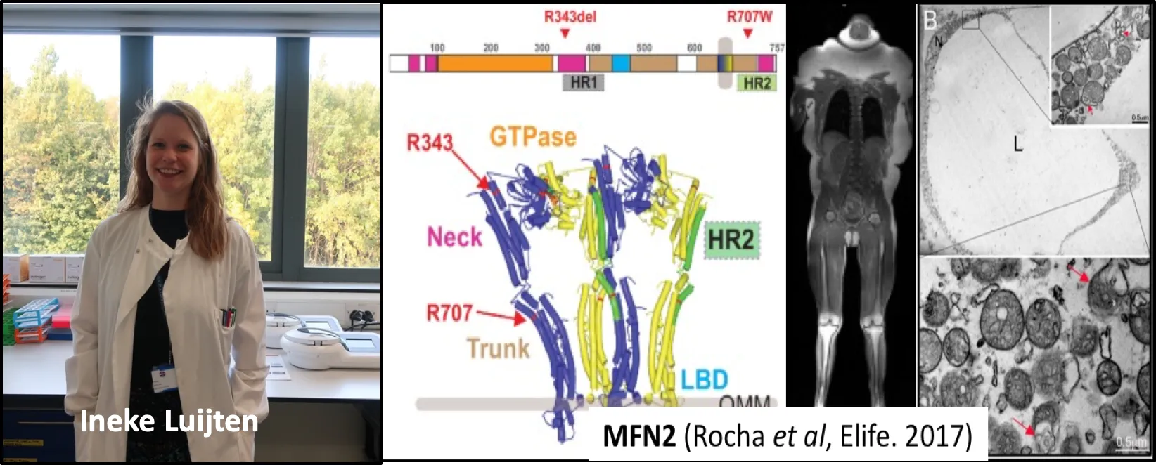 Ineke Luijten and research images