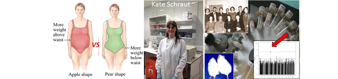 diagram of apple and pear shaped bodies, along with several other images