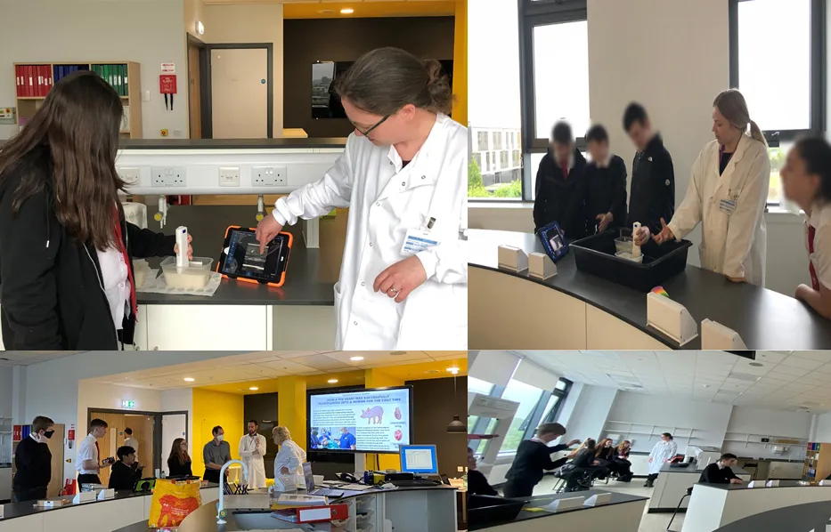 imaging inside out photo