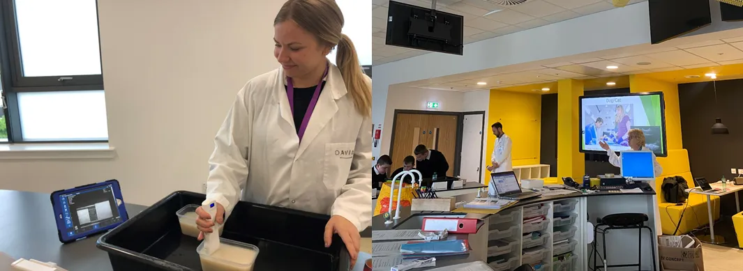 imaging inside out photo