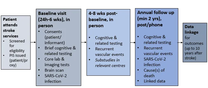R4VaD assessment flow chart