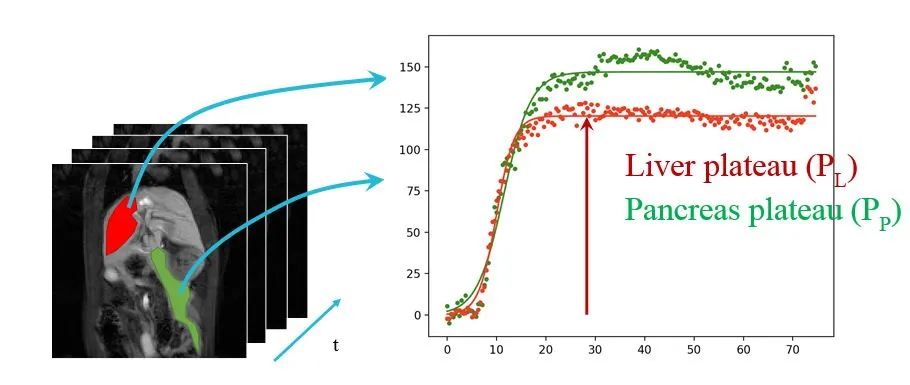 stacked image and mean curve graph