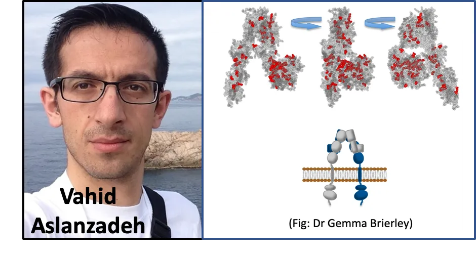 Vahid Aslanzadeh and research images