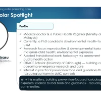 NIHR WP4 