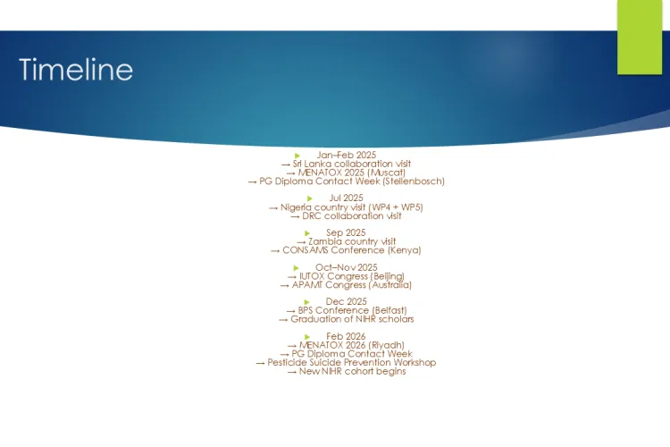 Text: African Network 2025 to 2026: Timeline