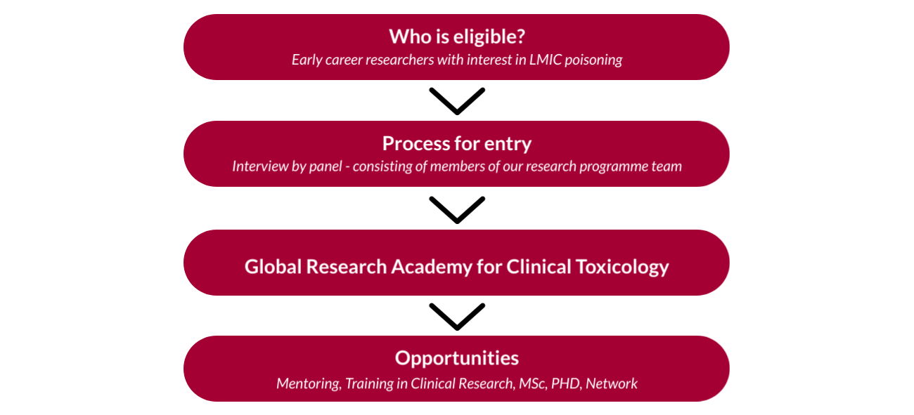 Flow chart showing application process for the Global Academy for Clinical Toxicology