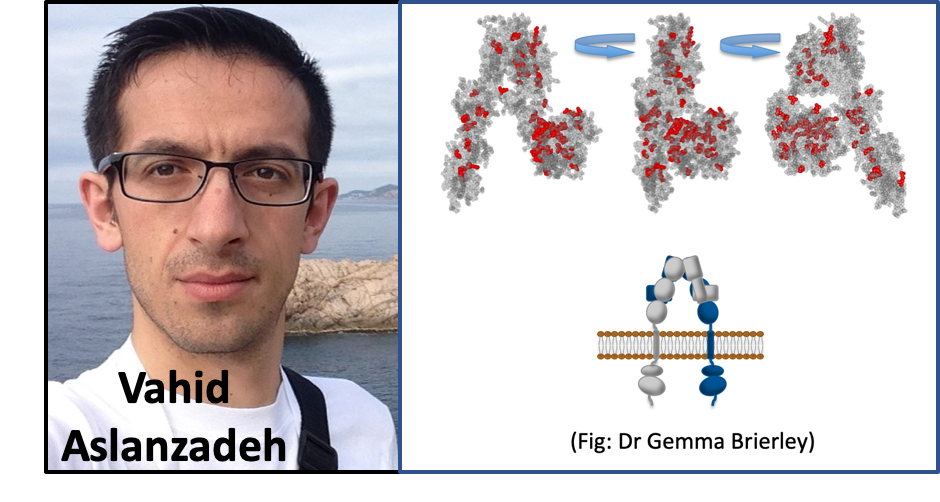 Vahid Aslanzadeh and research images