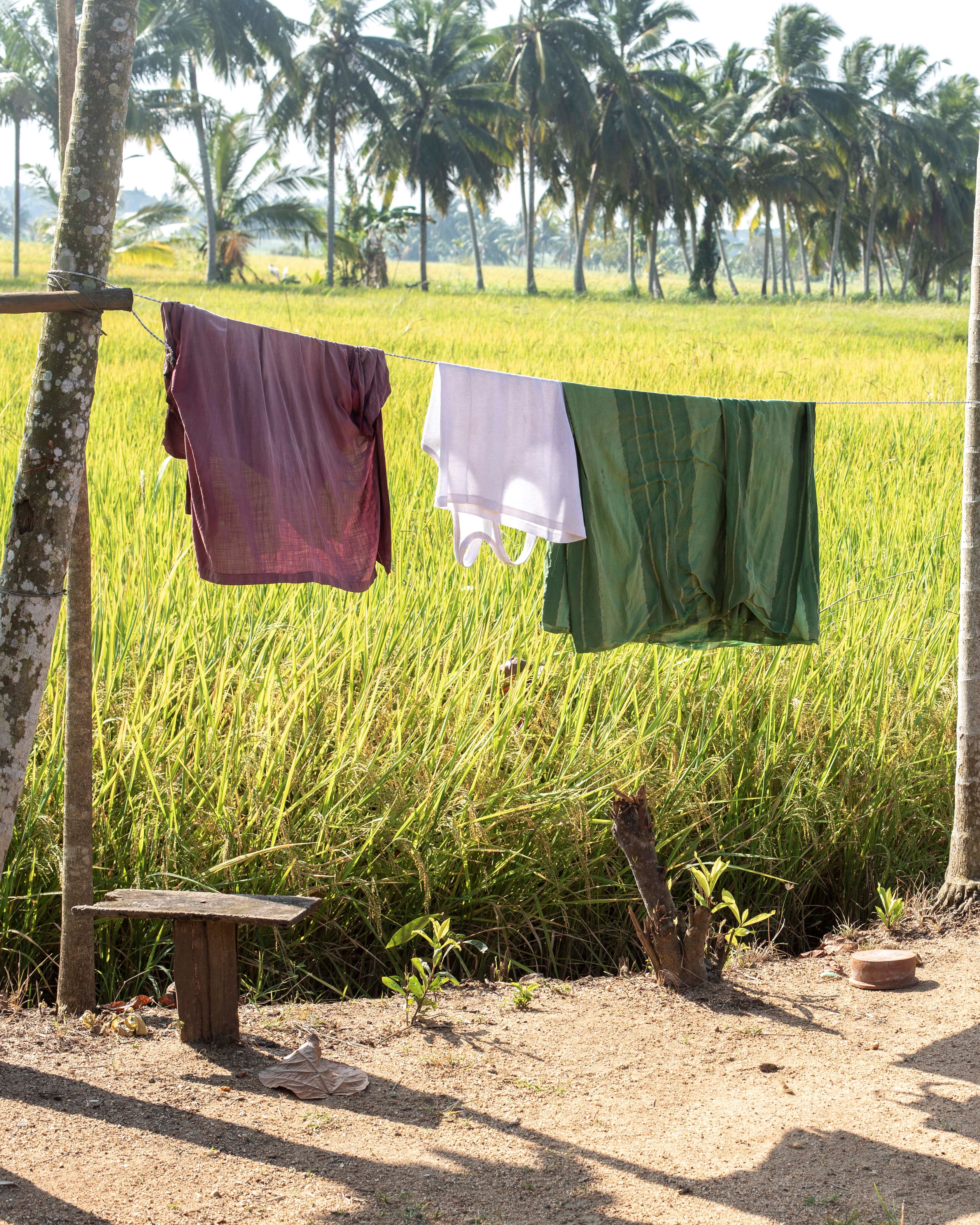 washing hanging outside in rural Sri Lanka